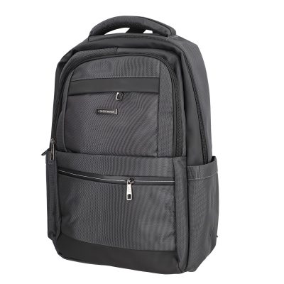 Rucsac transport laptop cu buzunare bărbați poliester gri Coveri World BS5520CW2210121